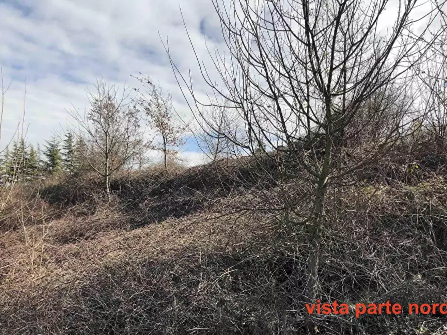 Immagine 2 di Terreno edificabile in vendita  in Località Boffalora a Gazzola