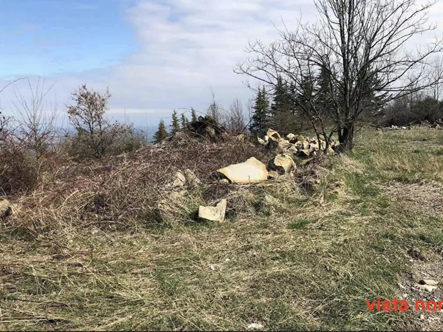 Immagine 3 di Terreno edificabile in vendita  in Località Boffalora a Gazzola