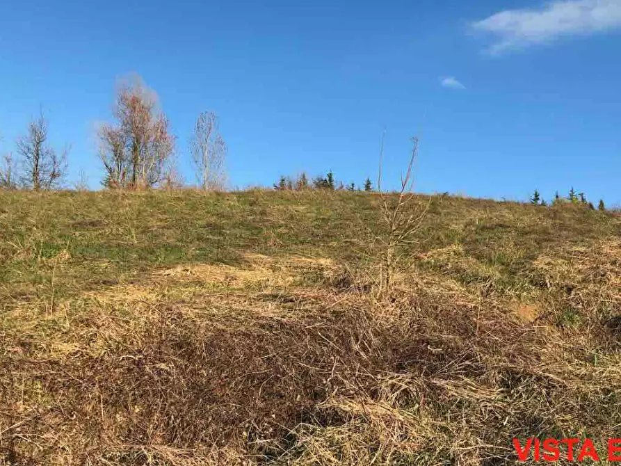 Immagine 3 di Terreno edificabile in vendita  in Località Boffalora a Gazzola