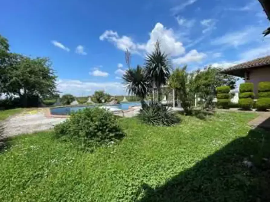 Immagine 7 di Casa indipendente in vendita  in Strada Frati a Mede