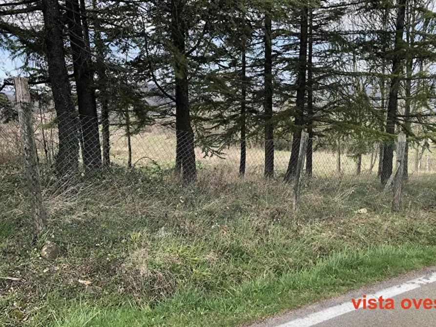 terreno edificabile in vendita a Gazzola