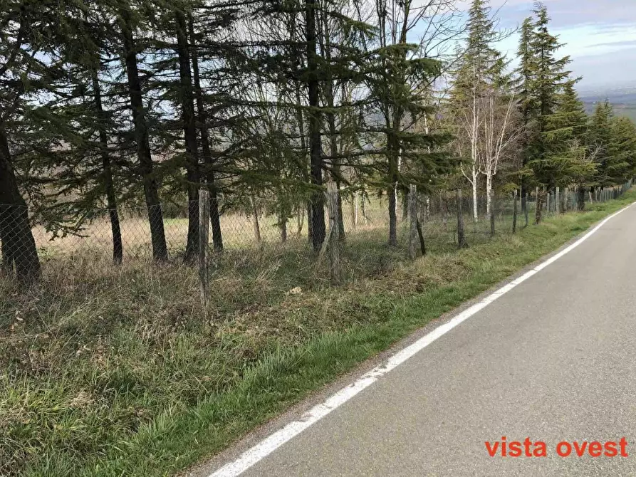 Immagine 2 di Terreno edificabile in vendita  in Località Boffalora a Gazzola