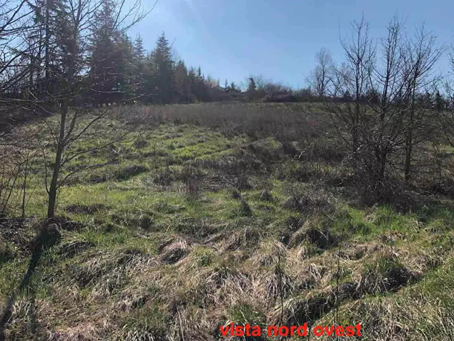 Immagine 3 di Terreno edificabile in vendita  in Località Boffalora a Gazzola