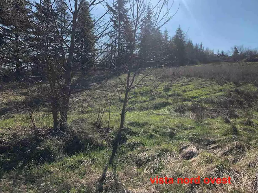 Immagine 4 di Terreno edificabile in vendita  in Località Boffalora a Gazzola