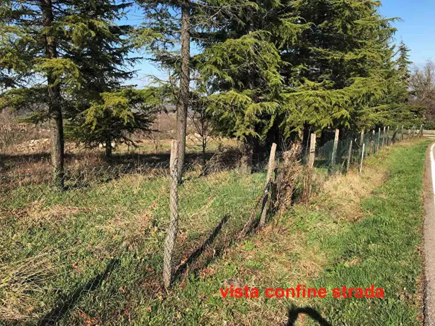 Immagine 5 di Terreno edificabile in vendita  in Località Boffalora a Gazzola