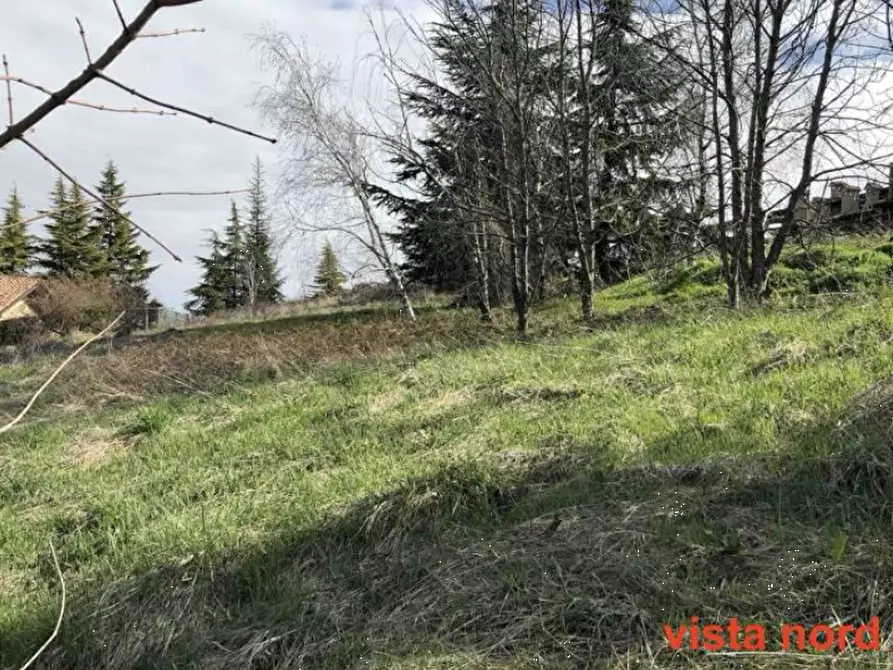 Immagine 6 di Terreno edificabile in vendita  in Località Boffalora a Gazzola
