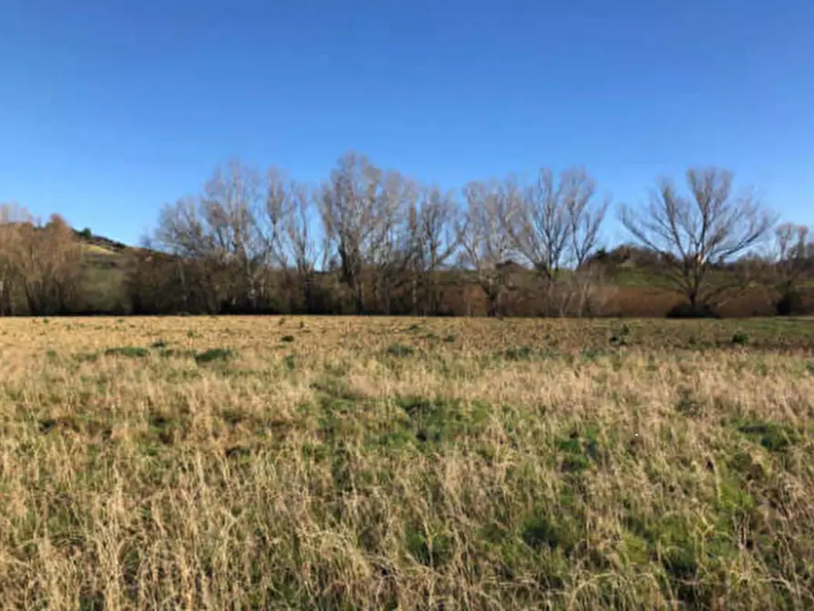 Immagine 1 di Terreno edificabile in vendita  in Zona Indutriale a Montegranaro