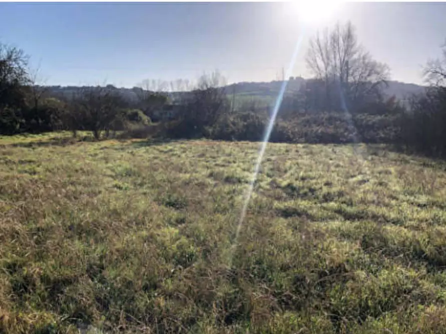 Immagine 2 di Terreno edificabile in vendita  in Zona Indutriale a Montegranaro