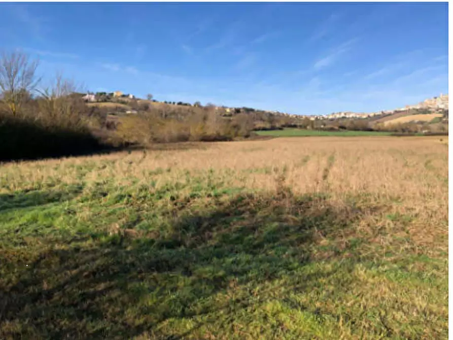 Immagine 3 di Terreno edificabile in vendita  in Zona Indutriale a Montegranaro