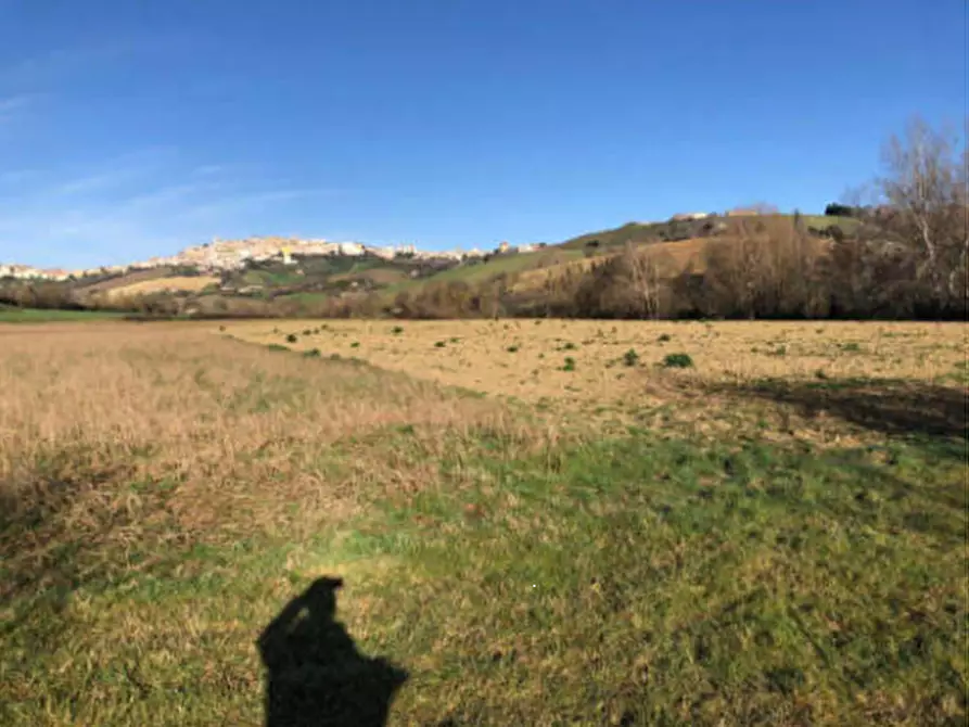 Immagine 4 di Terreno edificabile in vendita  in Zona Indutriale a Montegranaro