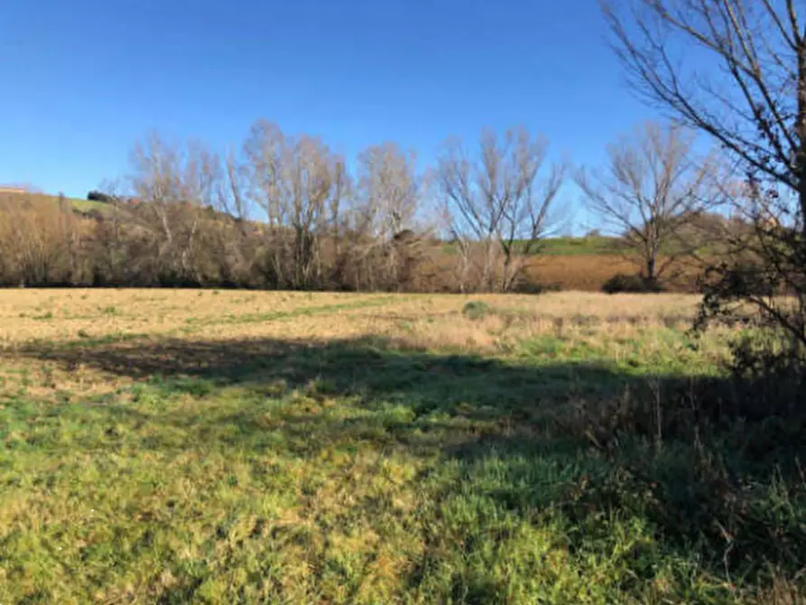 Immagine 5 di Terreno edificabile in vendita  in Zona Indutriale a Montegranaro