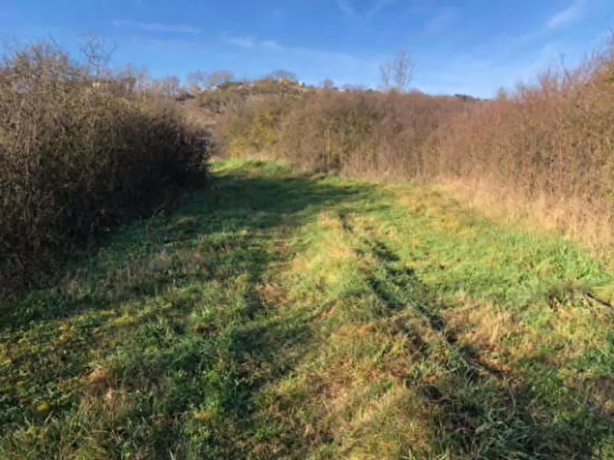 Immagine 7 di Terreno edificabile in vendita  in Zona Indutriale a Montegranaro