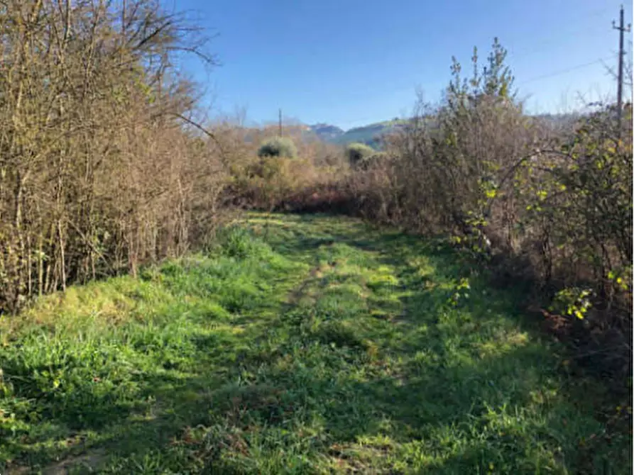 Immagine 8 di Terreno edificabile in vendita  in Zona Indutriale a Montegranaro