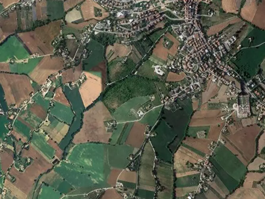 Immagine 7 di Negozio in vendita  in Via G. Di Vittorio a Montegranaro