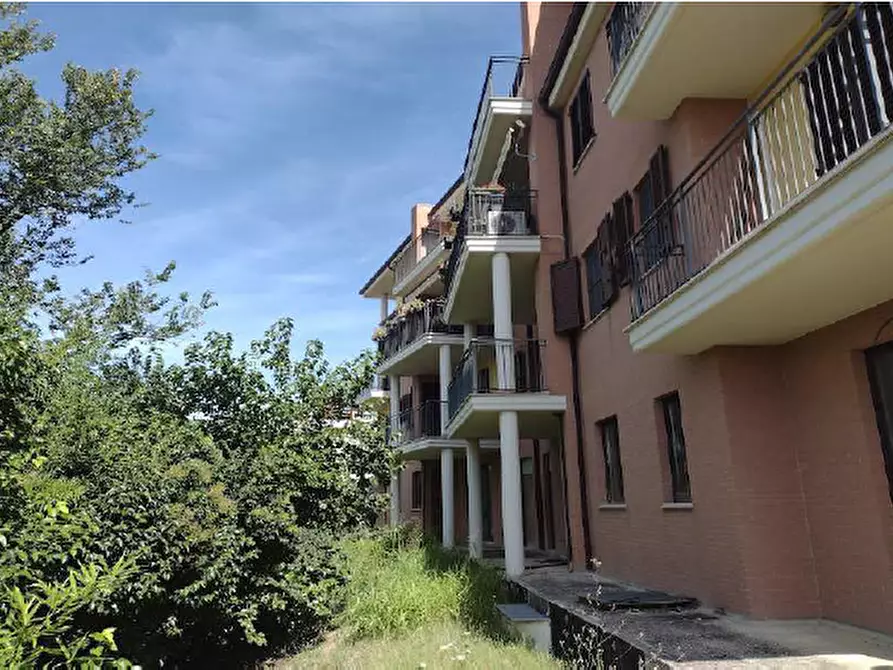 Immagine 7 di Appartamento in vendita  in Via Robert Baden Powell a Montegranaro