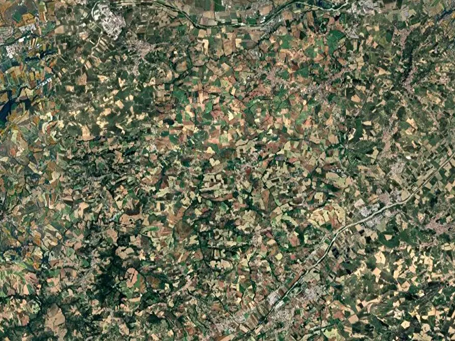 Immagine 8 di Terreno agricolo in vendita  in Contrada Malvasia a Monte San Pietrangeli