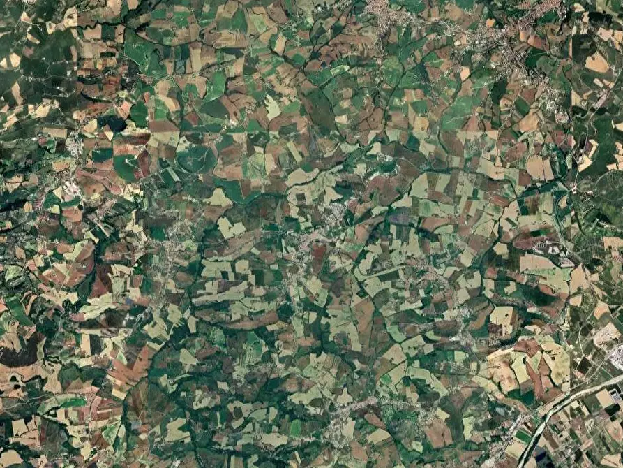 Immagine 7 di Terreno agricolo in vendita  in Contrada Malvasia a Monte San Pietrangeli