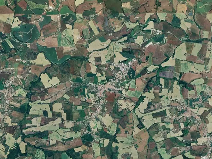 Immagine 6 di Terreno agricolo in vendita  in Contrada Malvasia a Monte San Pietrangeli