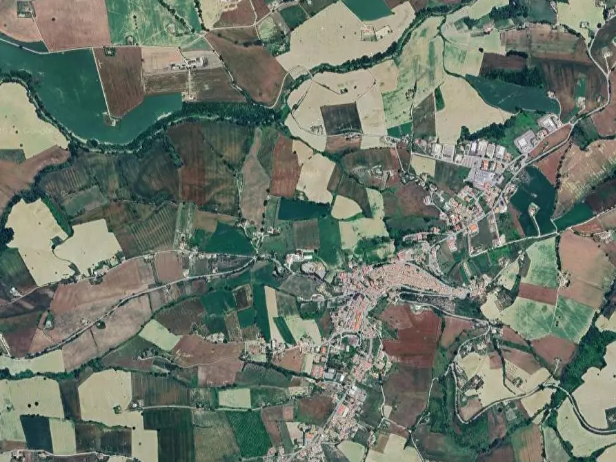 Immagine 5 di Terreno agricolo in vendita  in Contrada Malvasia a Monte San Pietrangeli