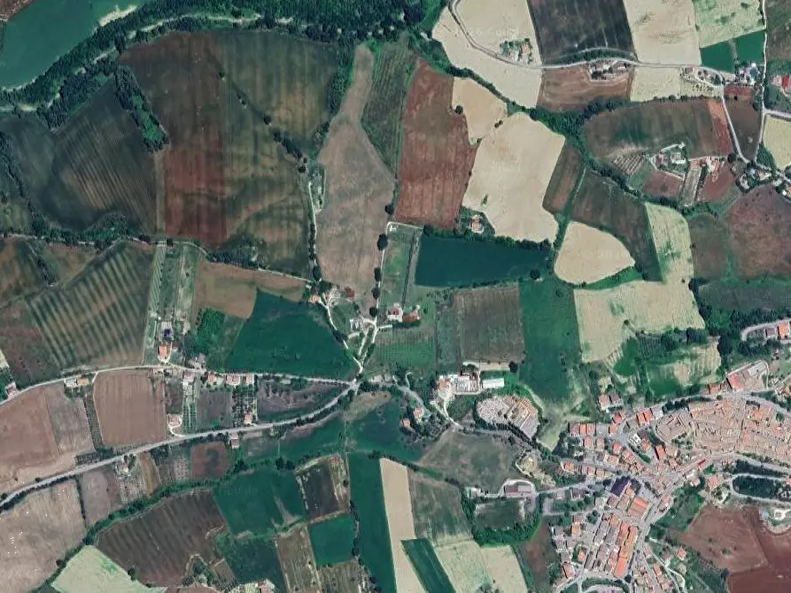 Immagine 4 di Terreno agricolo in vendita  in Contrada Malvasia a Monte San Pietrangeli