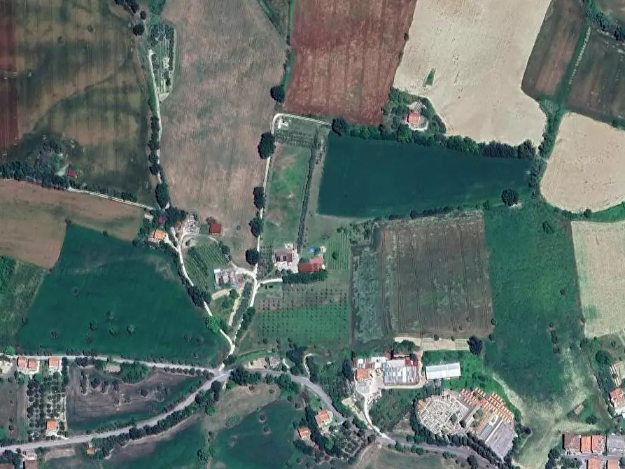 Immagine 3 di Terreno agricolo in vendita  in Contrada Malvasia a Monte San Pietrangeli