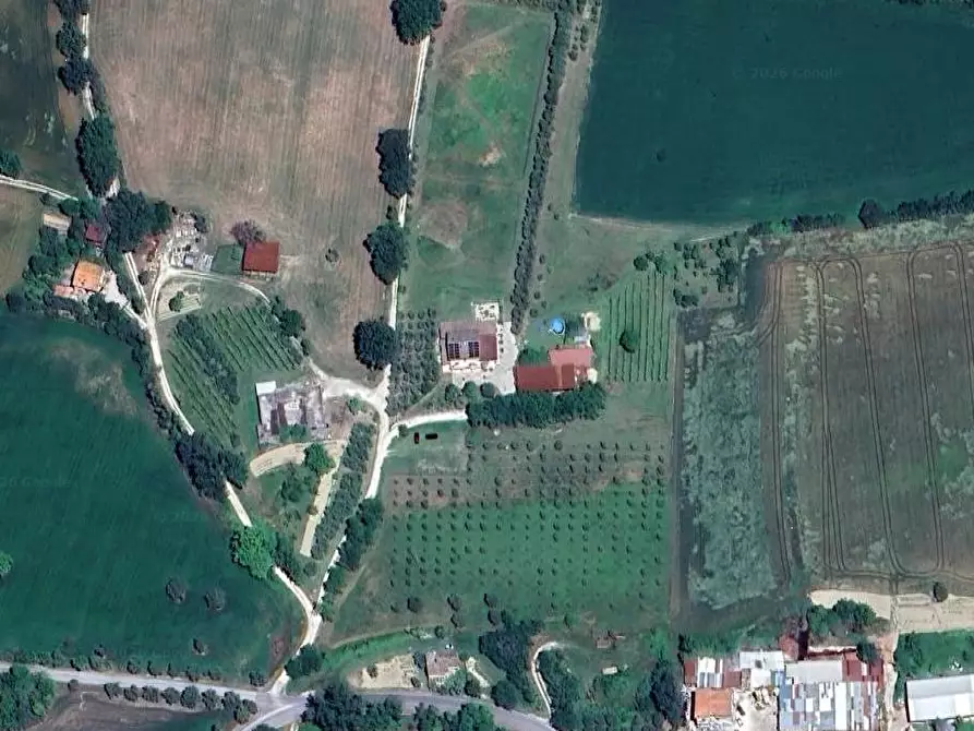 Immagine 2 di Terreno agricolo in vendita  in Contrada Malvasia a Monte San Pietrangeli