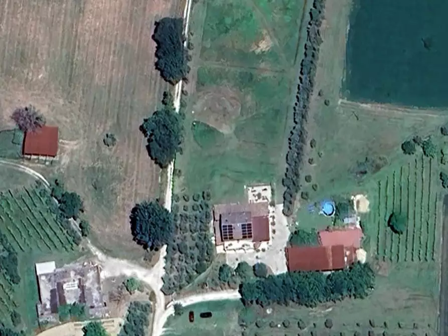 Immagine 1 di Terreno agricolo in vendita  in Contrada Malvasia a Monte San Pietrangeli