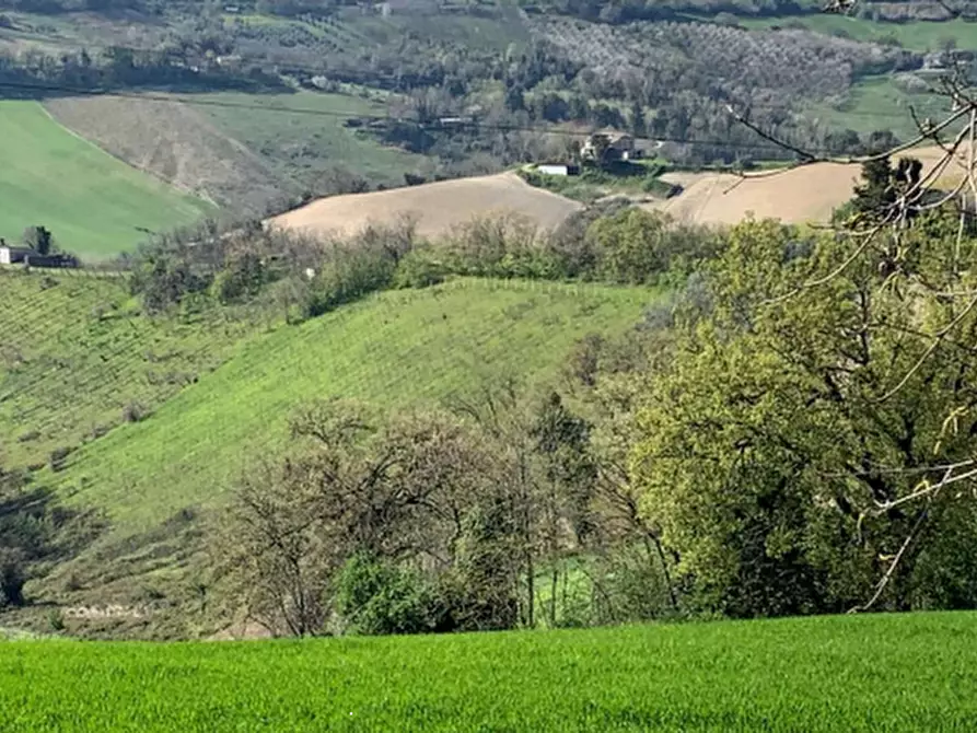 Immagine 1 di Terreno agricolo in vendita  in Contrada San Procolo  a Monte Vidon Combatte