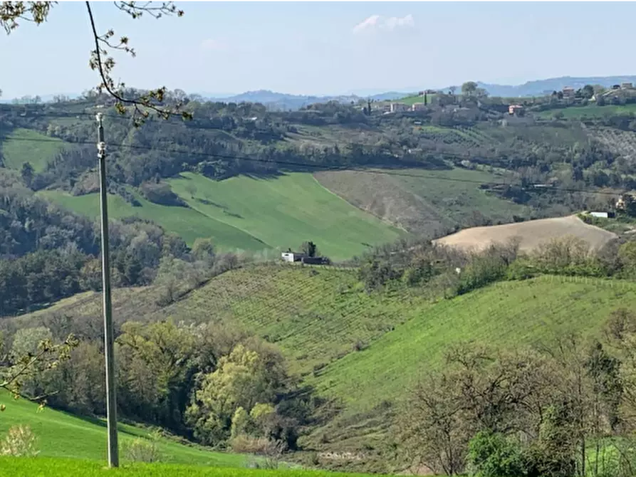Immagine 2 di Terreno agricolo in vendita  in Contrada San Procolo  a Monte Vidon Combatte