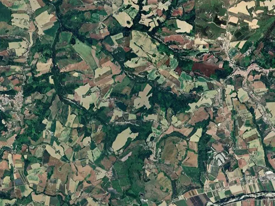 Immagine 3 di Terreno agricolo in vendita  in Contrada San Procolo  a Monte Vidon Combatte