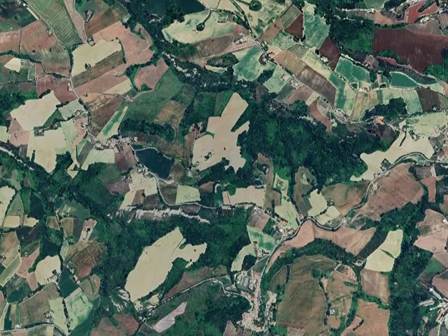 Immagine 4 di Terreno agricolo in vendita  in Contrada San Procolo  a Monte Vidon Combatte