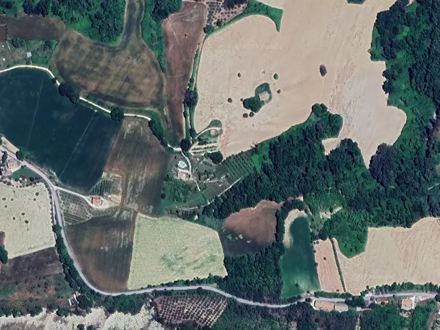 Immagine 6 di Terreno agricolo in vendita  in Contrada San Procolo  a Monte Vidon Combatte