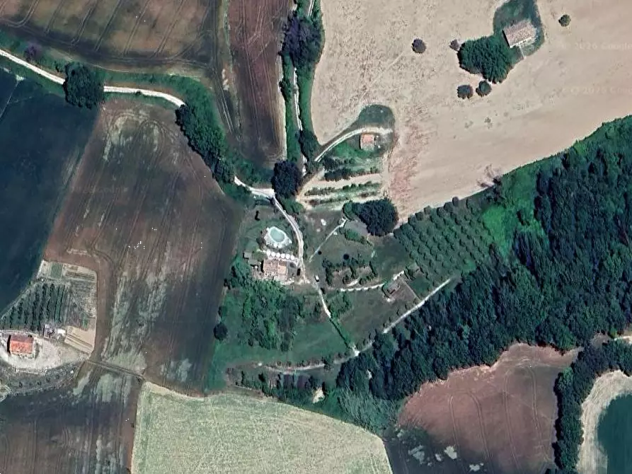 Immagine 7 di Terreno agricolo in vendita  in Contrada San Procolo  a Monte Vidon Combatte