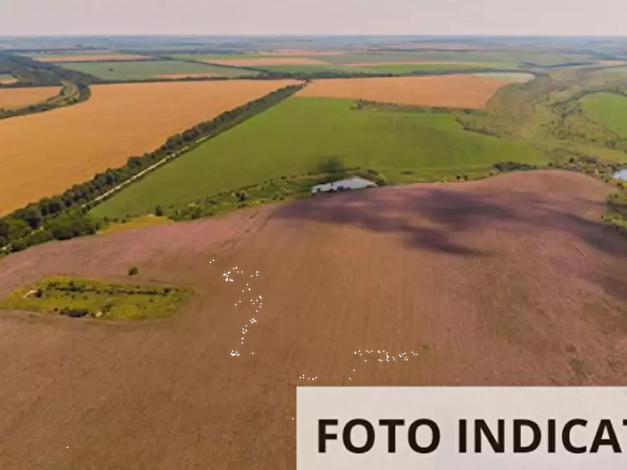 Immagine 4 di Terreno agricolo in vendita  in Via San Gallo a Botticino