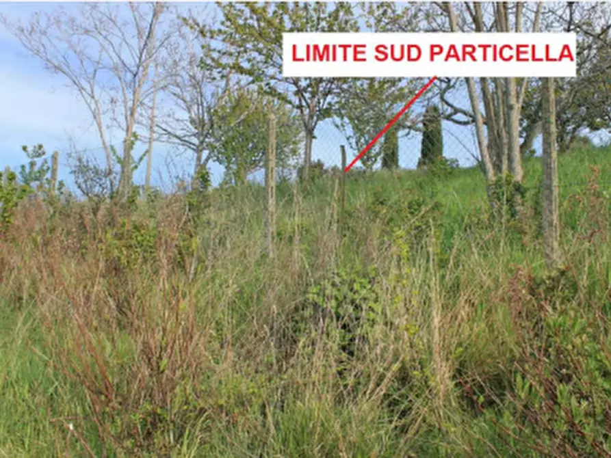 Immagine 1 di Terreno agricolo in vendita  in Contrada Piemarano a Lapedona