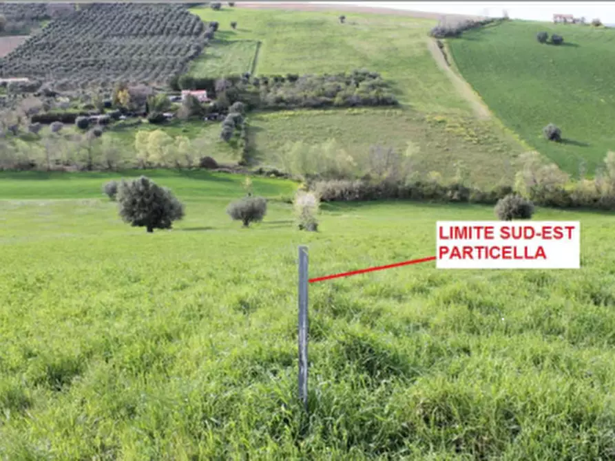 Immagine 3 di Terreno agricolo in vendita  in Contrada Piemarano a Lapedona