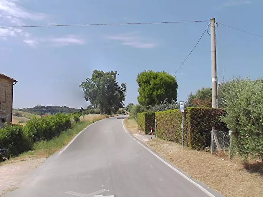 Immagine 5 di Terreno agricolo in vendita  in Contrada Piemarano a Lapedona