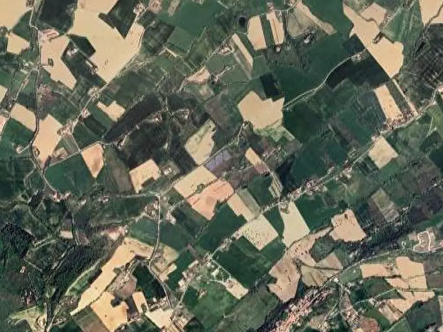Immagine 7 di Terreno agricolo in vendita  in Contrada Piemarano a Lapedona