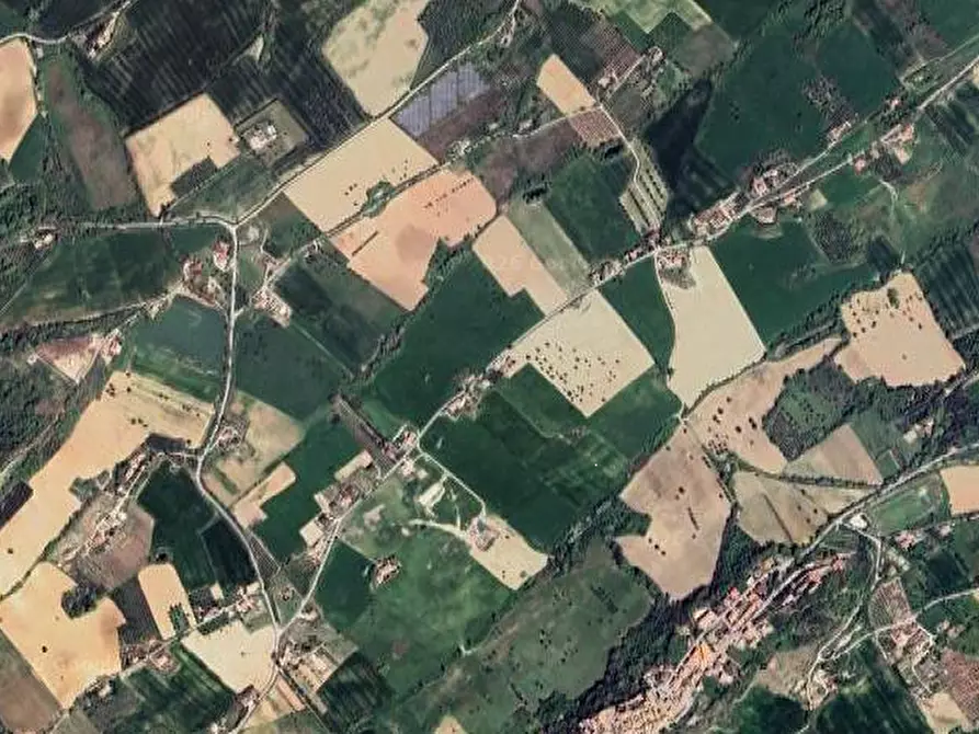 Immagine 8 di Terreno agricolo in vendita  in Contrada Piemarano a Lapedona