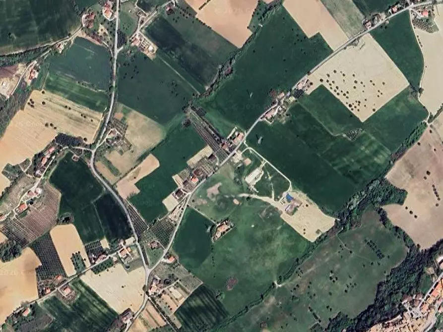 Immagine 9 di Terreno agricolo in vendita  in Contrada Piemarano a Lapedona