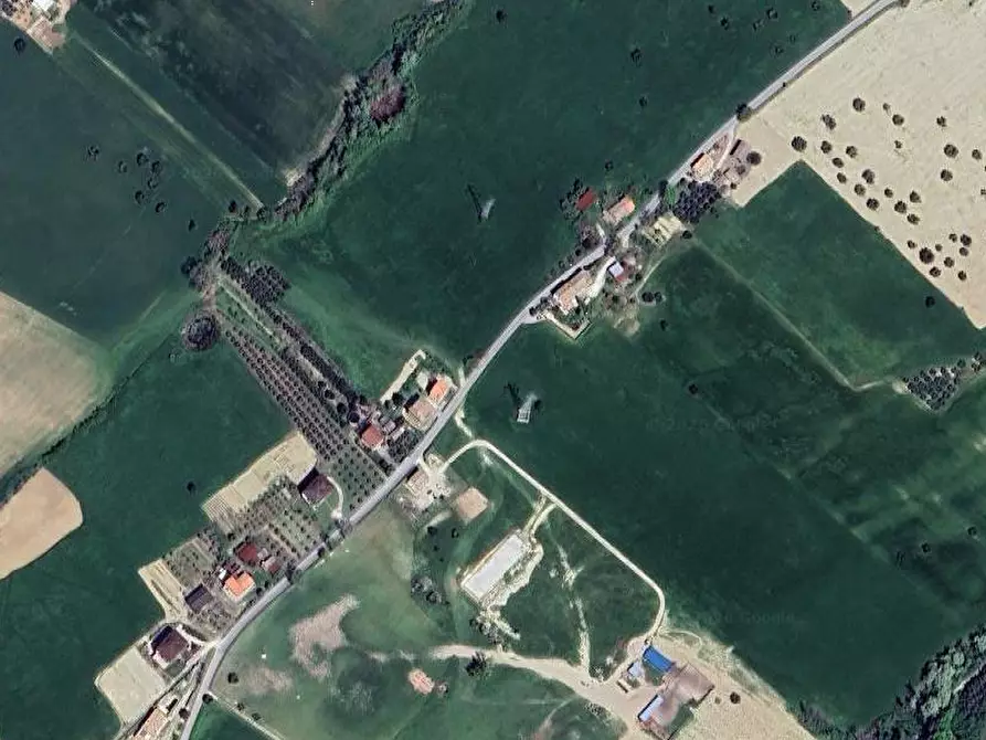 Immagine 10 di Terreno agricolo in vendita  in Contrada Piemarano a Lapedona