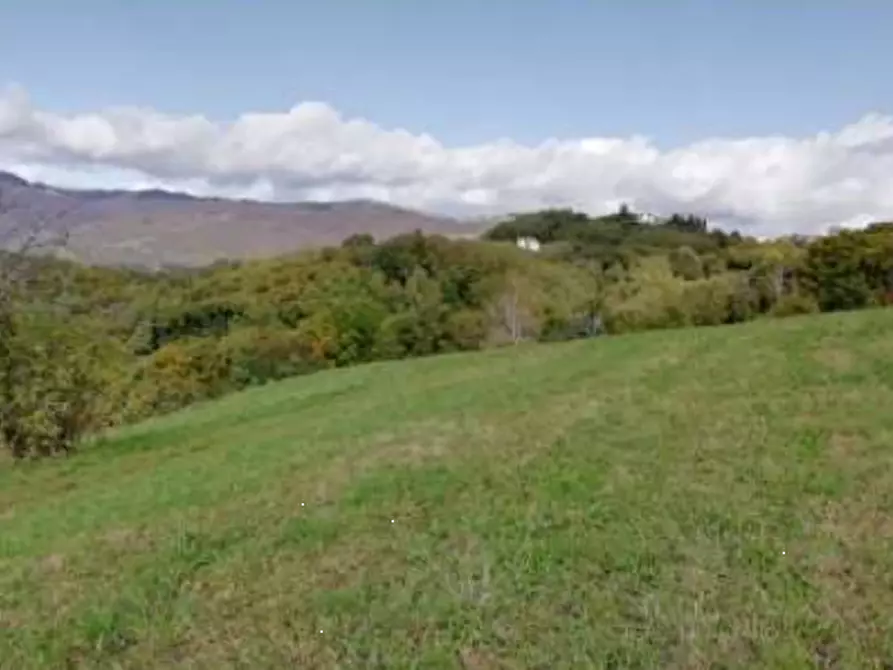 Immagine 3 di Terreno agricolo in vendita  in via Poletti  a Fara Vicentino