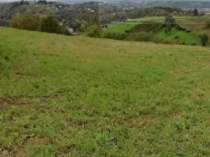 Immagine 6 di Terreno agricolo in vendita  in via Poletti  a Fara Vicentino