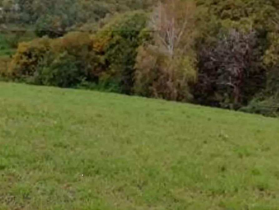 Immagine 7 di Terreno agricolo in vendita  in via Poletti  a Fara Vicentino