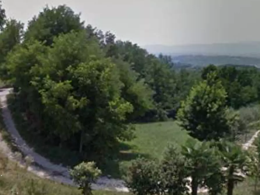 Immagine 9 di Terreno agricolo in vendita  in via Poletti  a Fara Vicentino