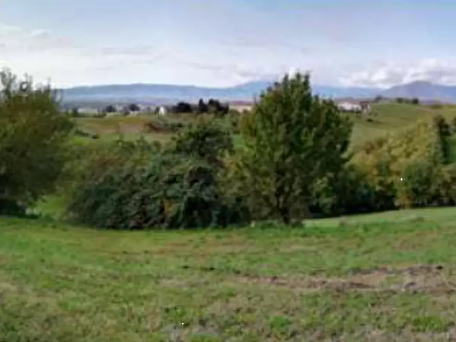 Immagine 11 di Terreno agricolo in vendita  in via Poletti  a Fara Vicentino