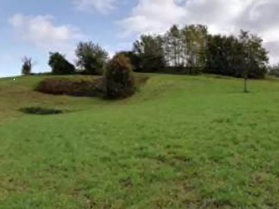 Immagine 13 di Terreno agricolo in vendita  in via Poletti  a Fara Vicentino