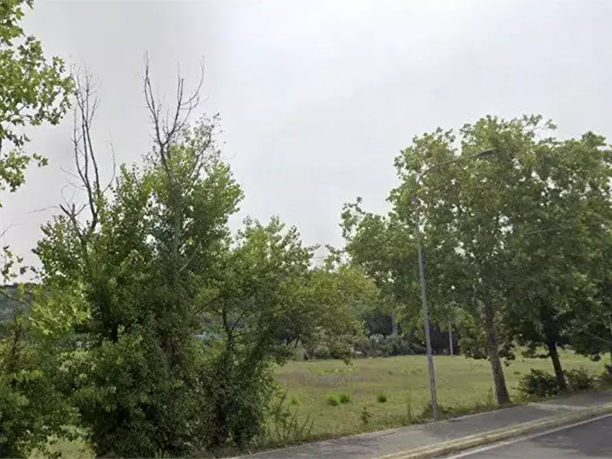 Immagine 3 di Terreno agricolo in vendita  in Via Solferino a Pesaro