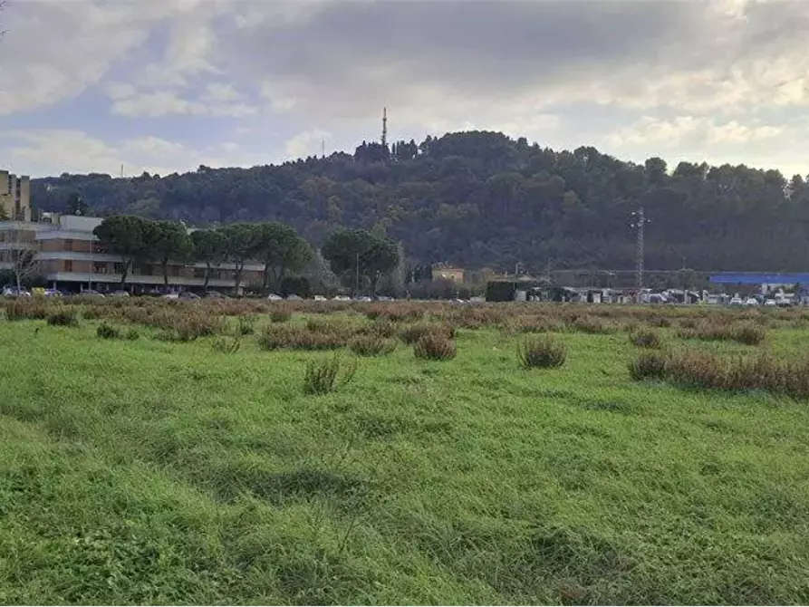 Immagine 6 di Terreno agricolo in vendita  in Via Solferino a Pesaro