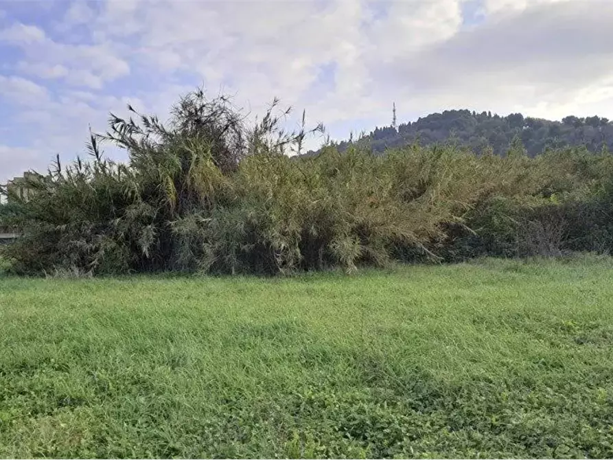 Immagine 9 di Terreno agricolo in vendita  in Via Solferino a Pesaro